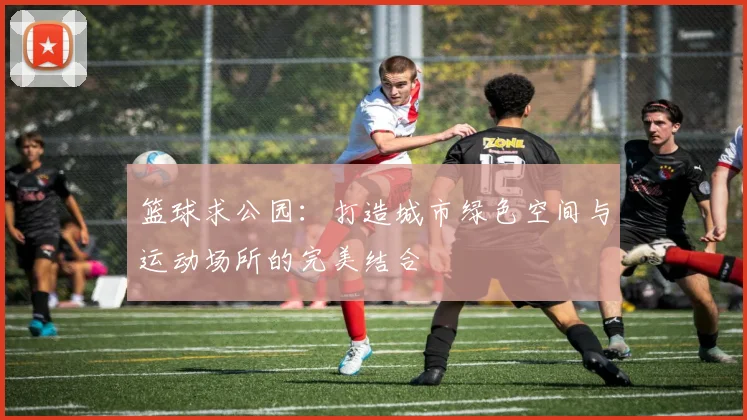 篮球求公园：打造城市绿色空间与运动场所的完美结合