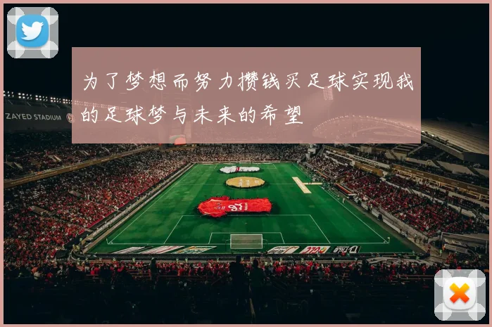 为了梦想而努力攒钱买足球实现我的足球梦与未来的希望