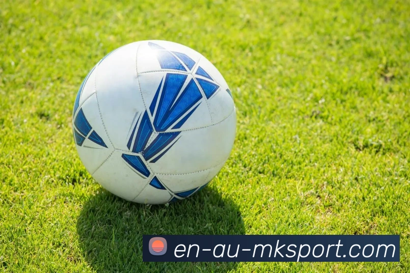 MK官网平台生态图